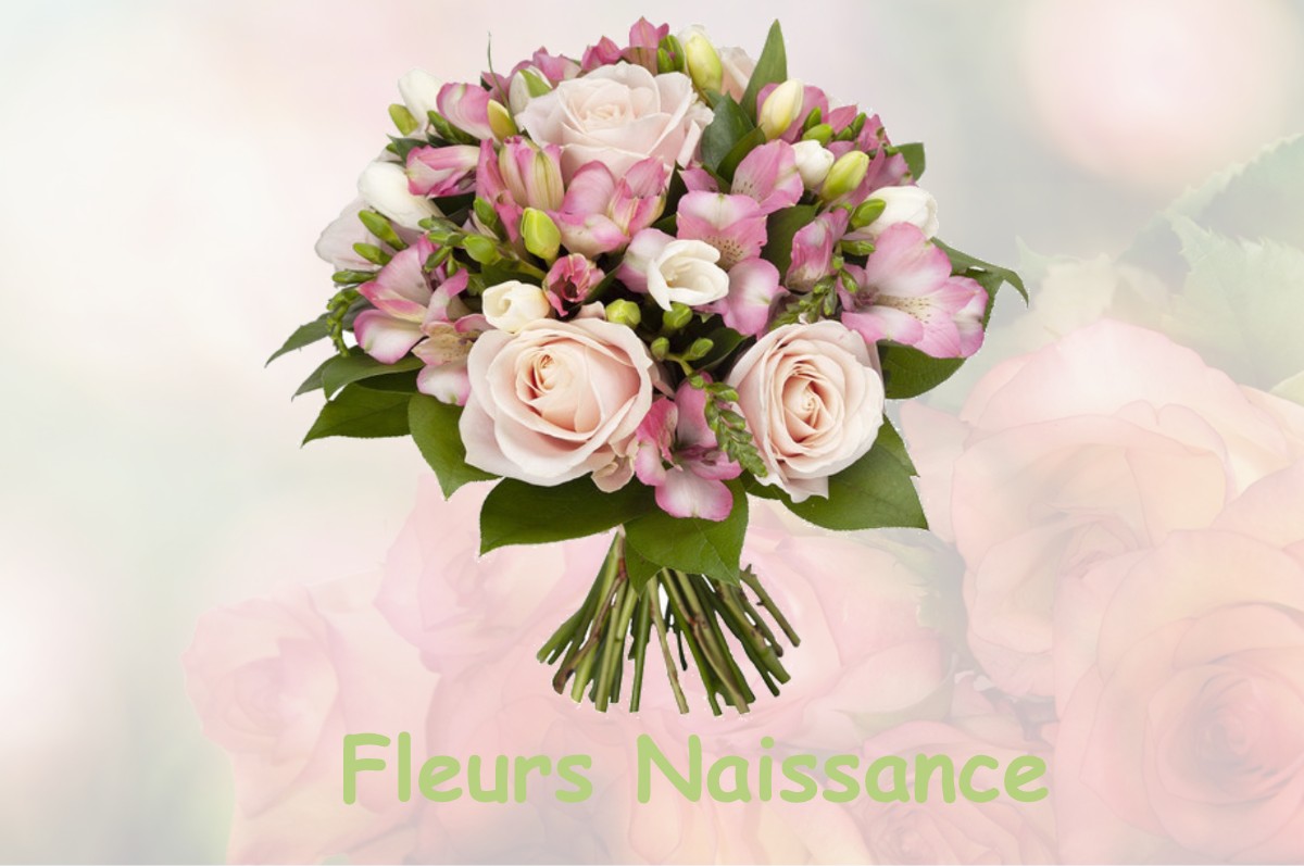 fleurs naissance SAINT-CLAIR-SUR-GALAURE