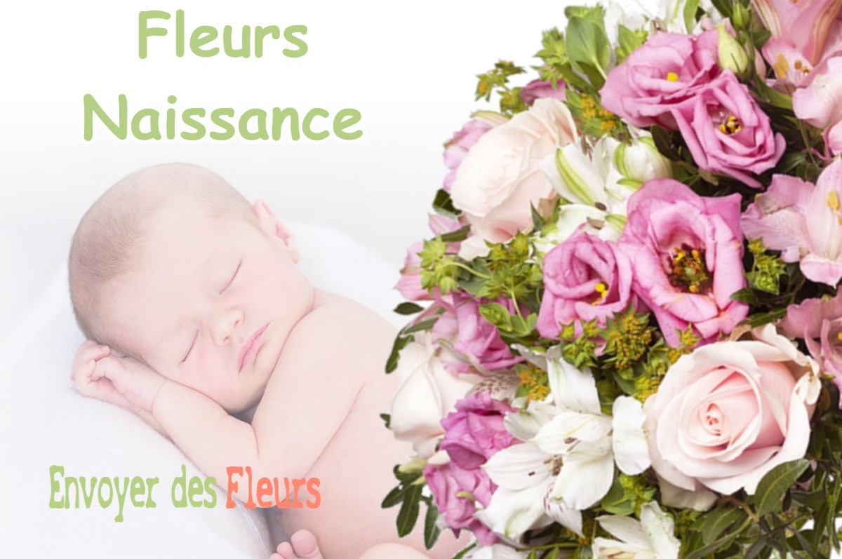 lIVRAISON FLEURS NAISSANCE à SAINT-CLAIR-SUR-GALAURE